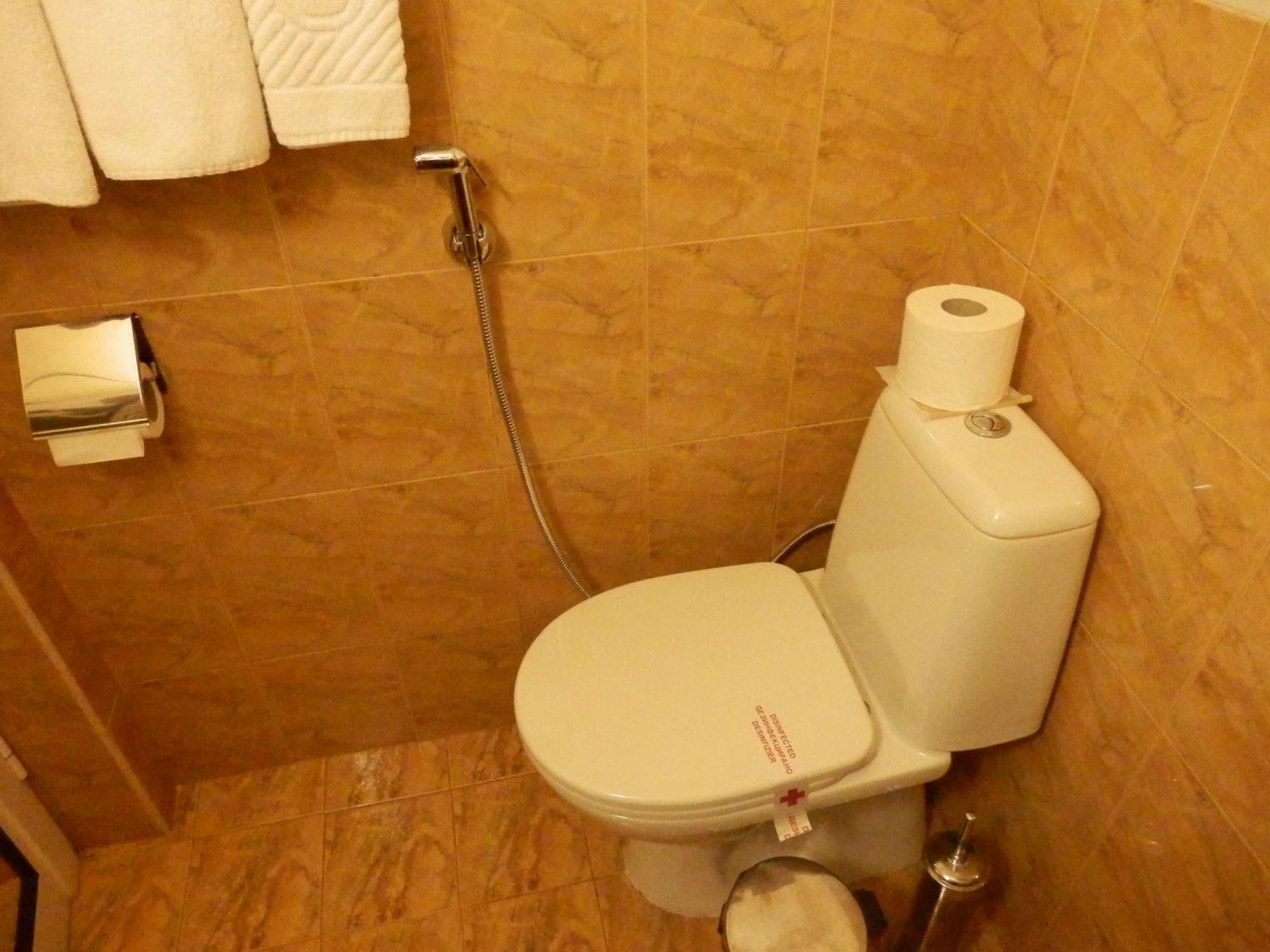 Семеен Хотел Роза Kazanlak Room photo